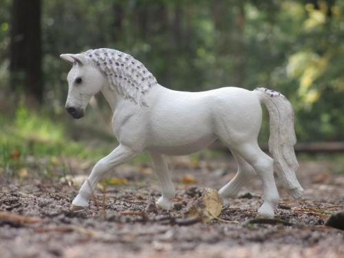 Schleich