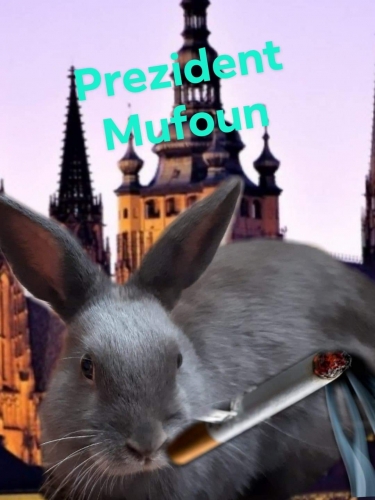 Prezident Mufoun