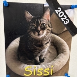 Sissi