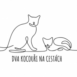 Dva kocouři na cestách / C...